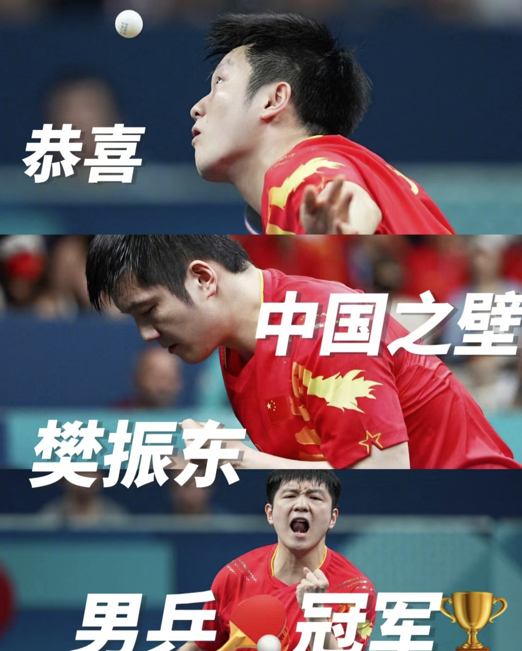 法国队险胜波兰队，樊振东点燃赛场