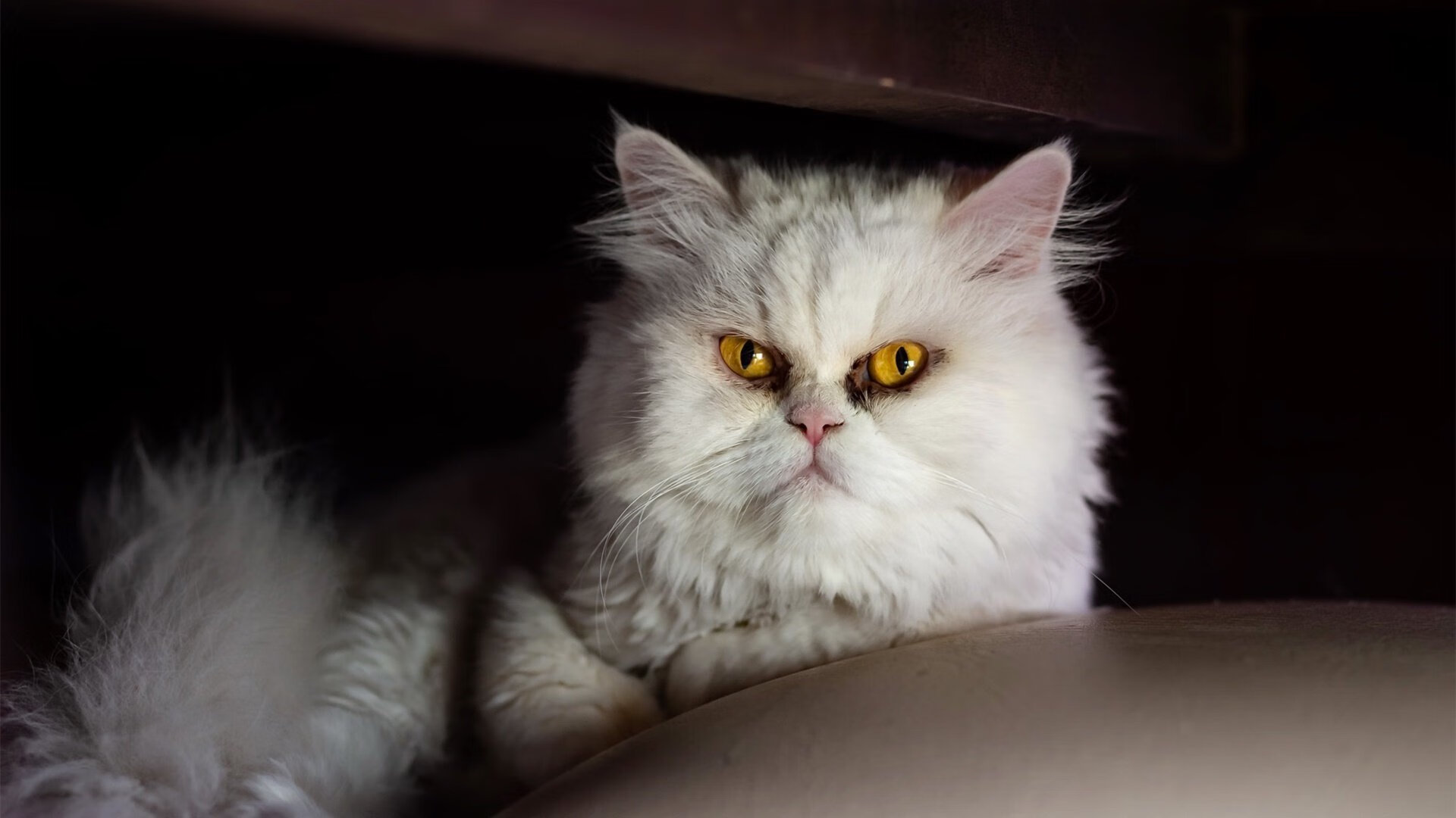 开云体育APP下载-跨界统治日，拜仁足球碾压威尔士，劳塔罗篮球总决赛上演奇迹接管