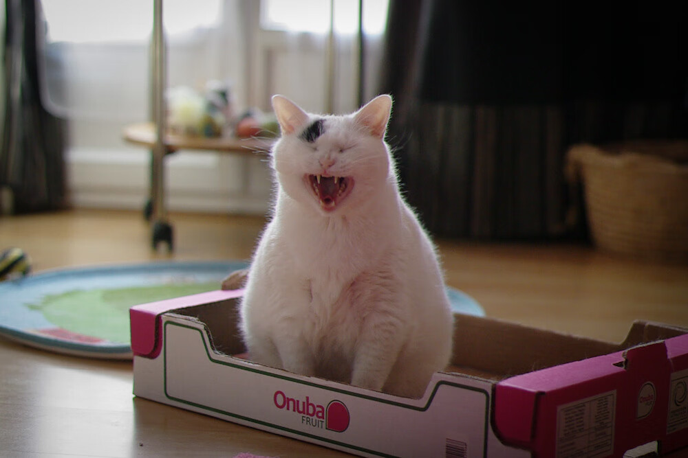 开云体育-内马尔单骑救主，法国队伤停补时点杀莱比锡