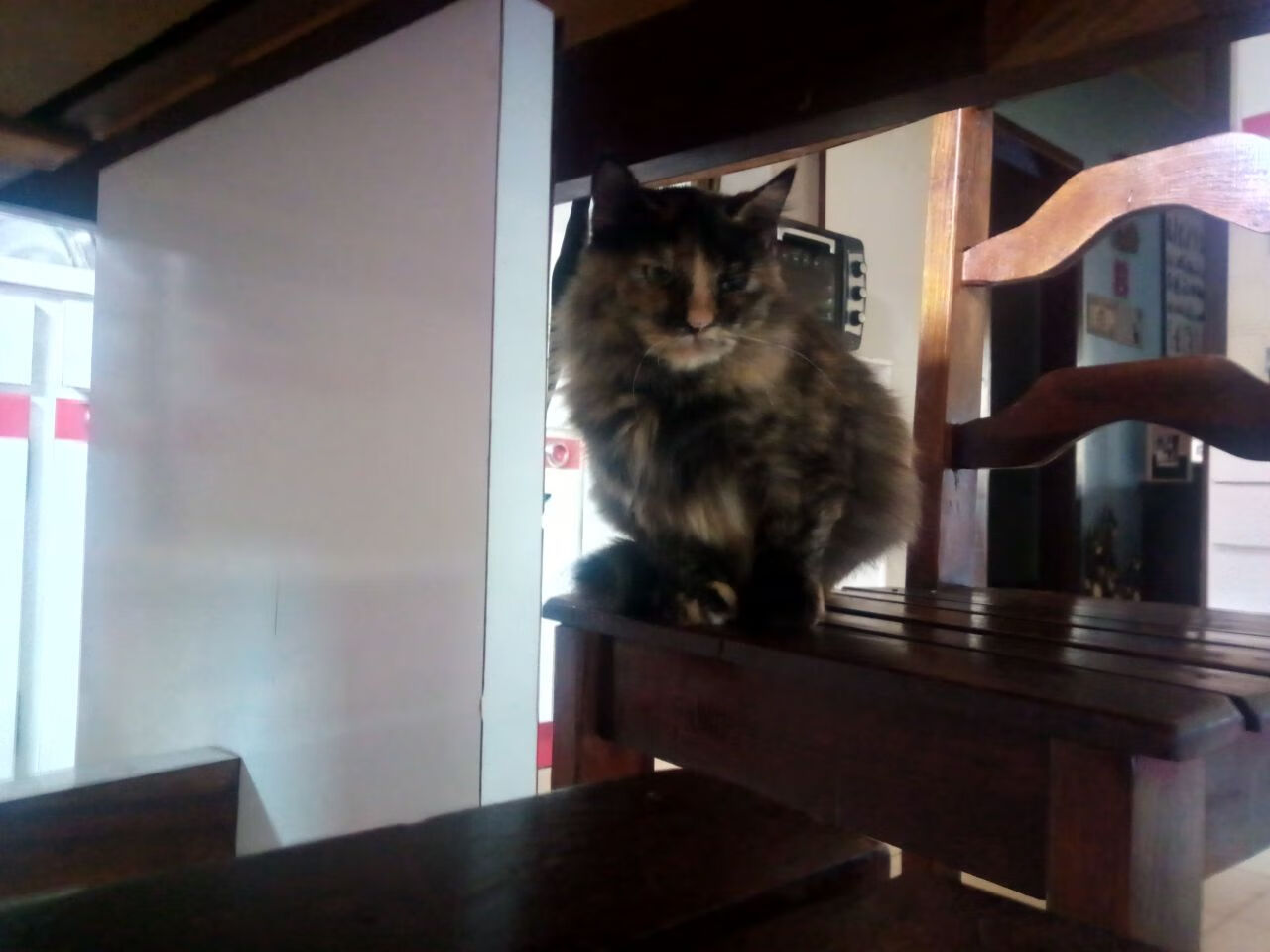 开云体育平台APP-AC米兰欧战粉碎土耳其，范戴克的世界杯序曲，2026的防守艺术