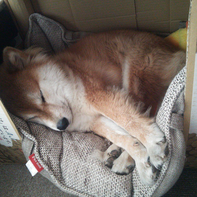 沉默的统治力，雷霆取胜不是靠炸裂，而是贝恩的致命精准