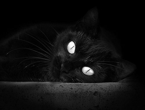 布克化身边缘觉醒者，用一记绝命抢断改写马刺命运