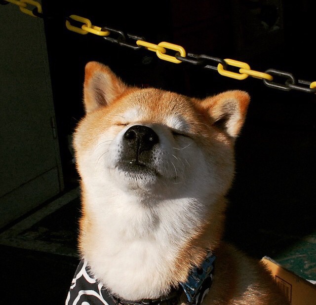 当精密齿轮碾碎红魔,若日尼奥的无解与冰岛足球的踏平哲学