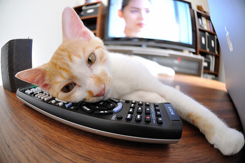 橙色巨蟒与单骑救主，当篮网风暴席卷古老城砖，马克西在巴黎前夜写下注脚