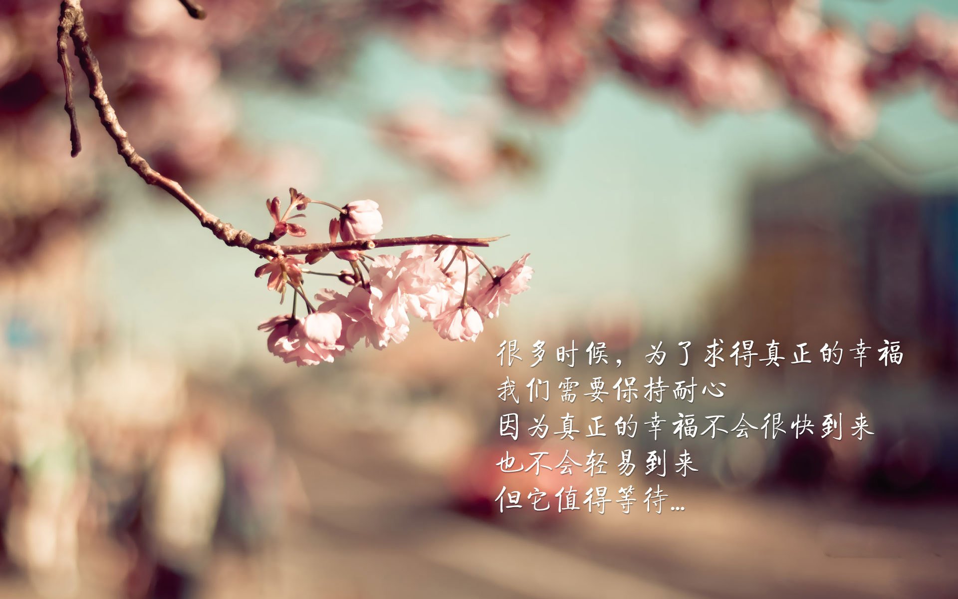 卢卡库之手，一场从未发生的比赛与永恒掌控