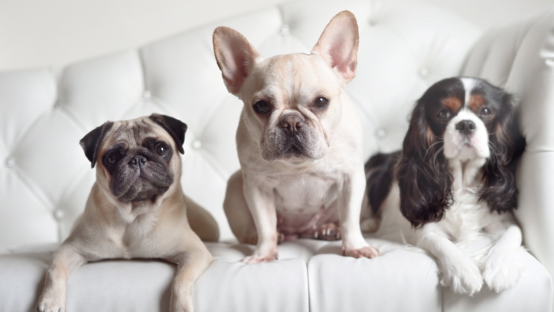 开云体育APP下载-浓眉赛后评分拉满！对阵步行者一战，他为何成为无解的存在？开拓者的铁壁与步行者的困惑