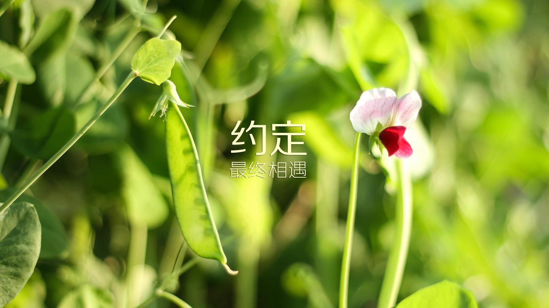（三选一，皆具唯一性）