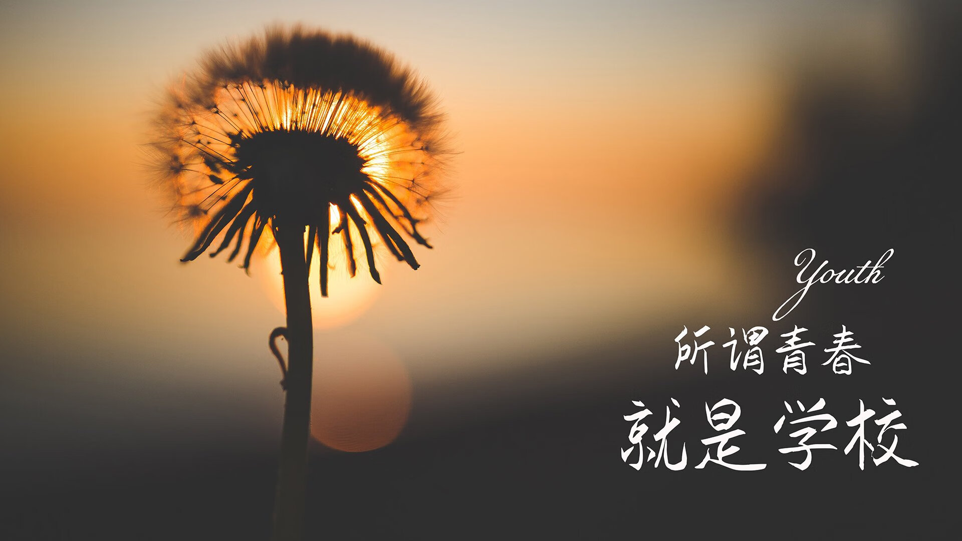 开云sport-北欧童话续写奇迹，阿方索·戴维斯绝杀封神，丹麦力克哥斯达黎加加冕2026世界杯