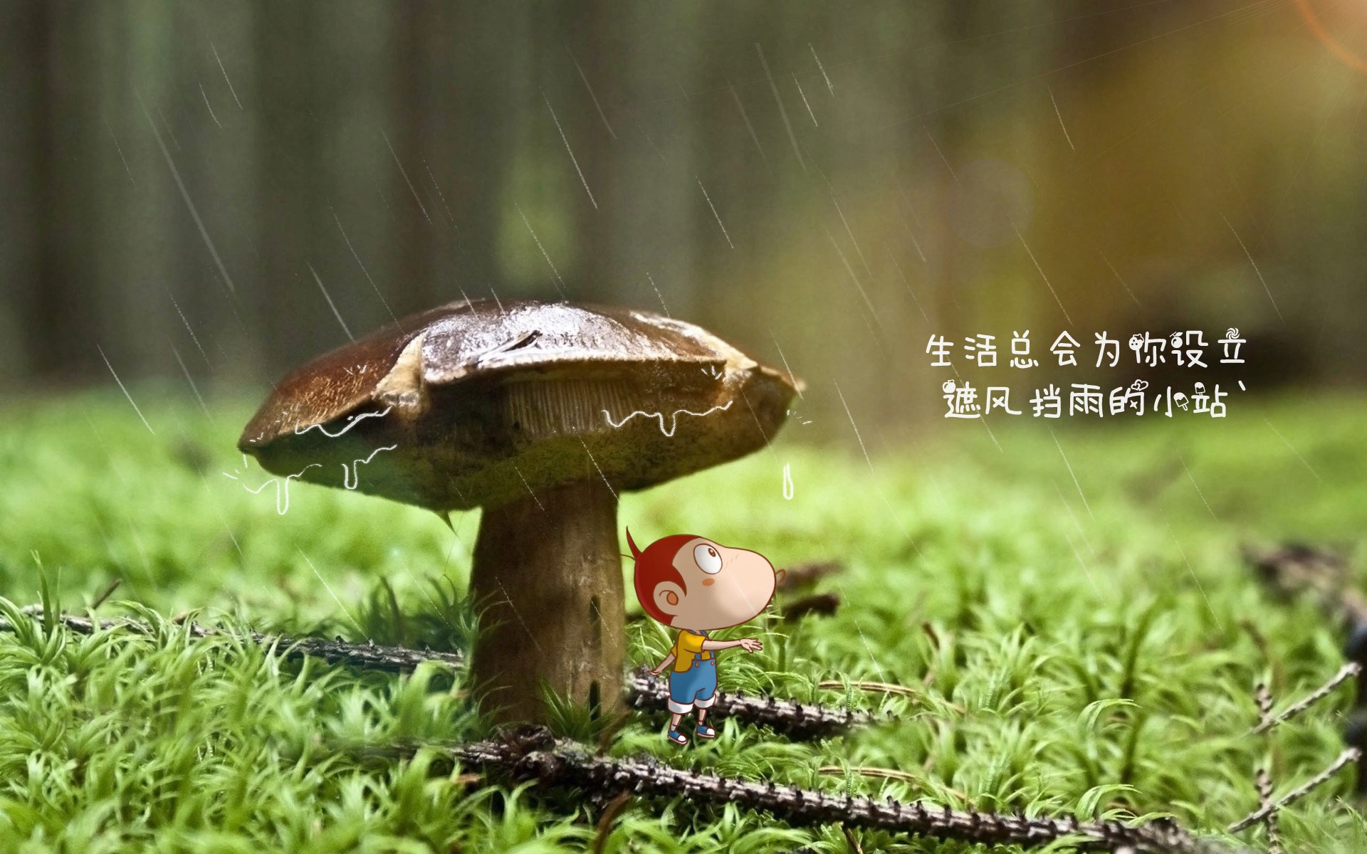 开云体育-血色黎明，当袋鼠用不死基因撕碎秘鲁，佩德里用天才脚法写下神之一笔
